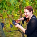 Private wine tours from Florence to Tuscany