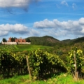 Private Chianti wine tour from Florence