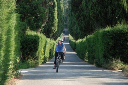 Tuscany Bike Tours: one day bike tour through the hills of Chianti with transfer from Florence, wine tasting and lunch